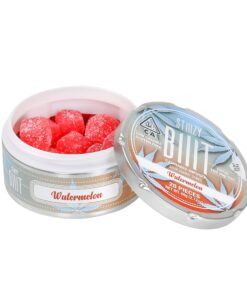Watermelon BIIIT Sour Gummy Cubes