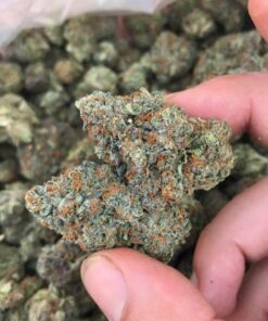 Buy Alaskan Thunder Fuck Online Australia, Platinum Cookies Strain