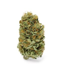 Order Sativa Cannabis Strains Canberra, Fat Banana Strain, Buy Weed Adelaide