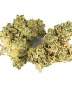 Buy Sour Diesel Strain Australia, Kush Mints Strain