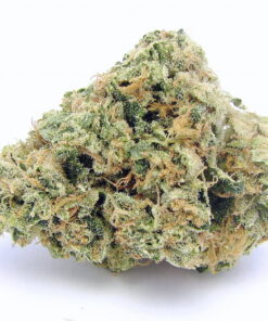 Order Hybrid Cannabis Strains Canberra, The Cheese Strain