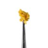 Champion City Chocolate Crumble Wax 1g