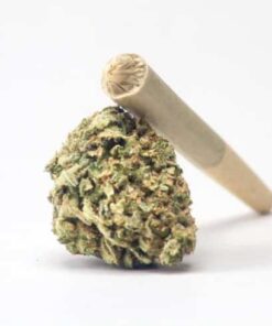 High-Potency Dried & Cured Flowers