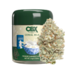 Cereal Milk Cannabis Strain