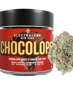 Chocolope Cannabis Strain