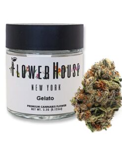 Gelato Cannabis Strain