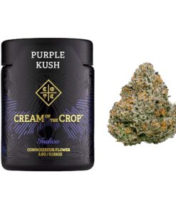 Purple Kush Cannabis Strain