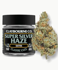 Super Silver Haze Cannabis Strain