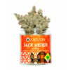 Jack Herer Cannabis Strain