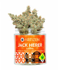 Jack Herer Cannabis Strain