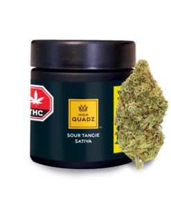 Sour Tangie Cannabis Strain