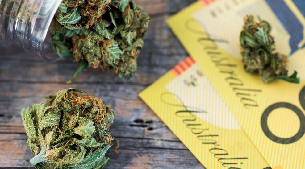 Weed Order Pricing Transparency