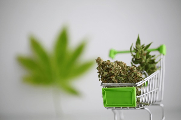 Cannabis Order Payment Security & Scam Protection